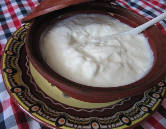 Всичко за българското кисело мляко